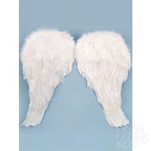 ���������� 1:  ������ ���������� ����� 50*50 �� 02591