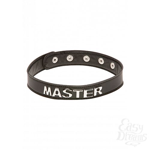 ���������� 2  ������� X-PLAY MASTER COLLAR 2030XP