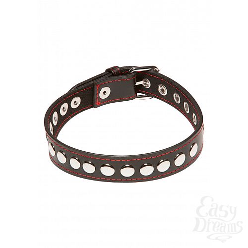  2   X-PLAY RIVETED COLLAR 2080XP