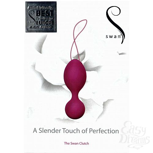 ���������� 1:  ����������� ������ � ��������� SWAN 50016