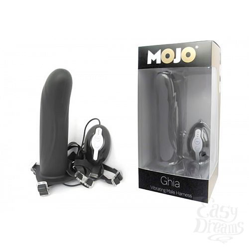 ���������� 1:  ������ ������� � ���������� Mojo Ghia