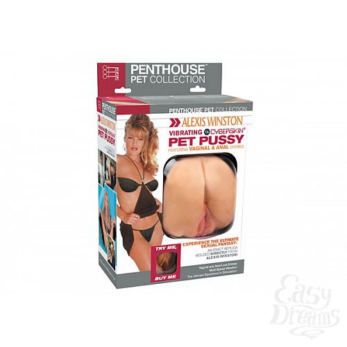 ���������� 1:  ������ � ���������� ������� �������