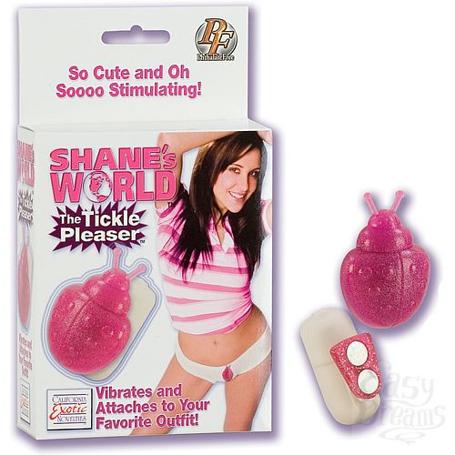 ���������� 1:  ���������� �� ������� ����� ������� 0041-04 BX SE