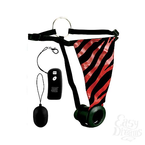 ���������� 2  �����-������� � ���������������� REMOTE PANTY 0081-25 BX SE