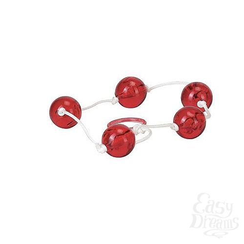 ���������� 1:  �������� ������ Clear Anal Beads Large, 5 ��.