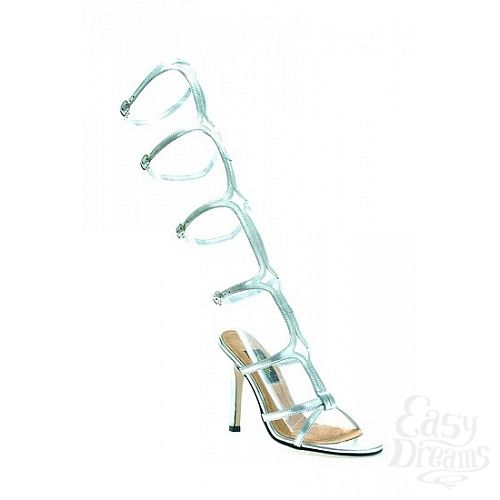  2   SEXY, : 12,5 , 39, 