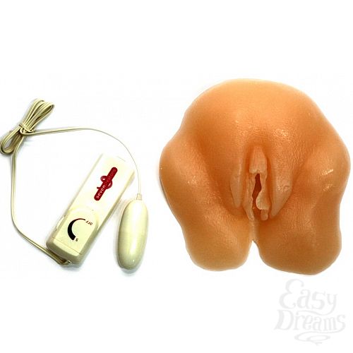 ���������� 1:  ������ Shaved Pussy