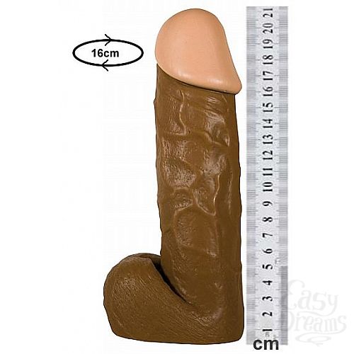 ���������� 4  ������������� Latin Lover, 20 ��