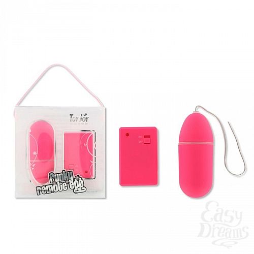 2    Funky Remote Egg - 
