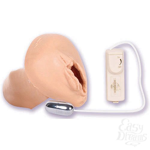 ���������� 2  ������-����������� � ��������� SANDY 1103-00 BX DJ