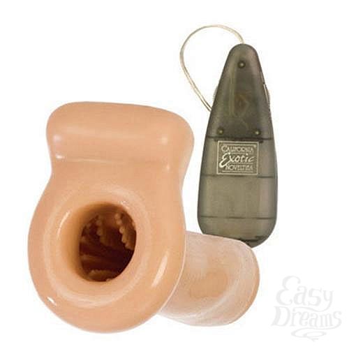 ���������� 1:  ����������� ������� ���� CARMEN HART