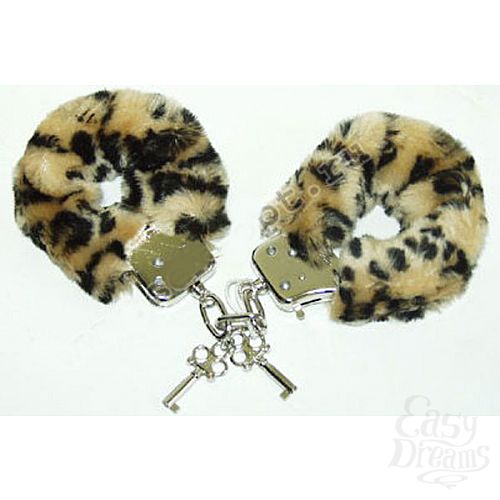 ���������� 1:  ����������� ��������� � ������� �������