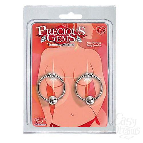 ���������� 1:  ���������� ������ ��� ������ PRECIOUS GEMS 1314-6 CD TS