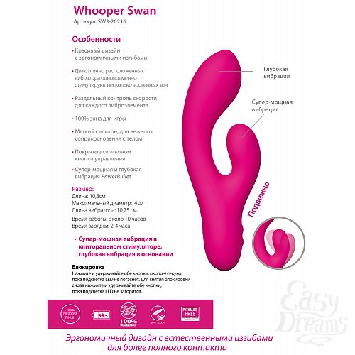  2    The Whooper Swan    