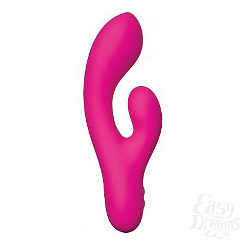  3    The Whooper Swan    