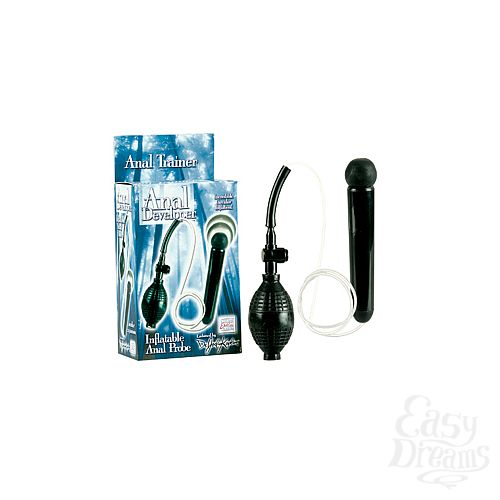 ���������� 1:  �������� ������-����������� Anal Developer ������