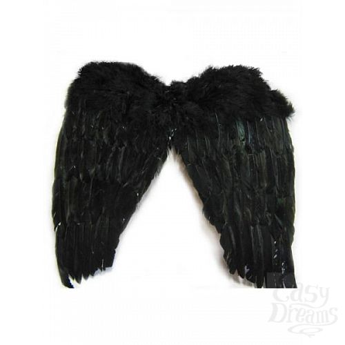 ���������� 1:  ���������� ������ ������ 50�50��