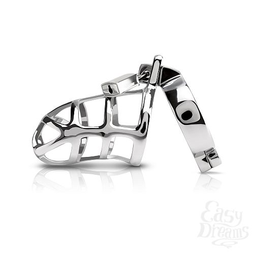 ���������� 1:  ������� �� ����� ������������� � ������� METAL WORX-COCK CAGE