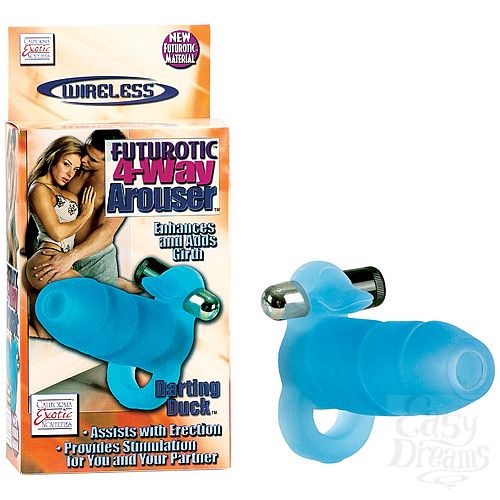 ���������� 1:  ������� ������� �� ����� � ��������� 1619-20 BX SE