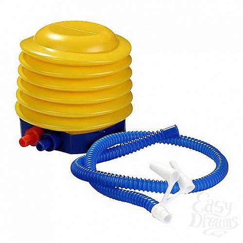 ���������� 1:  �����