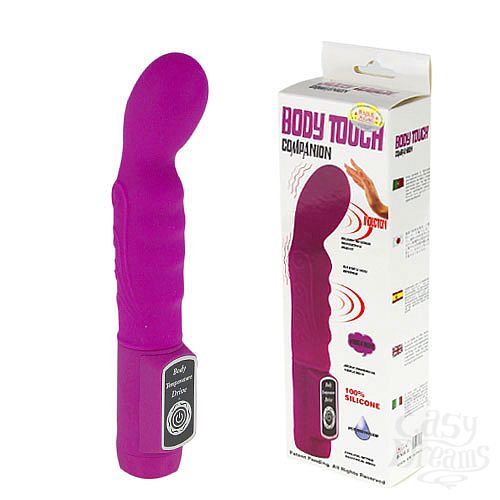  1:   Body Touch Companion BW-037033