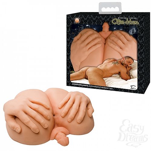 ���������� 1:  ������������ �����������-����� � ������� � ������ JUNIOR STELLANO