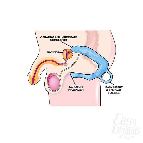 ���������� 2  ������� �������� MEN S PLEASURE WAND EXTRA LARGE