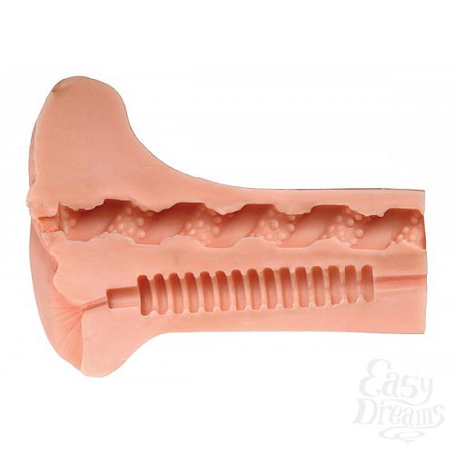 ���������� 2  ������ � ����  Flower Tuccis ��� ��������