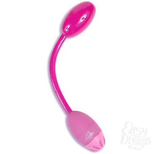 ���������� 2  �����-���������� FLEX A PLEASURE ������� 377-04 BX DJ