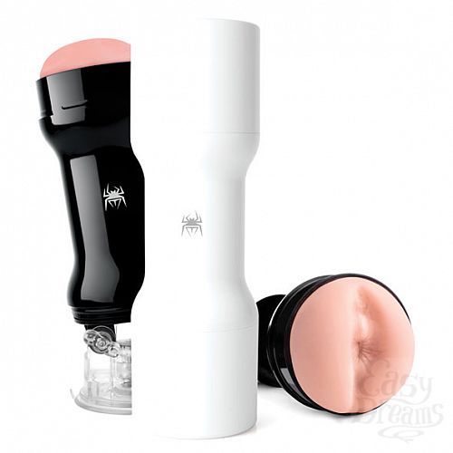 ���������� 3  ����������� Spider - Backside, ������