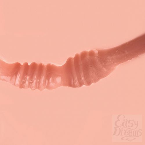 ���������� 7  ����������� Spider - Backside, ������