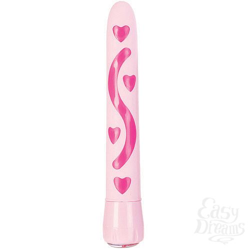 ���������� 2  ����������� �������� FOREVER YOURS 485-04 BX SE