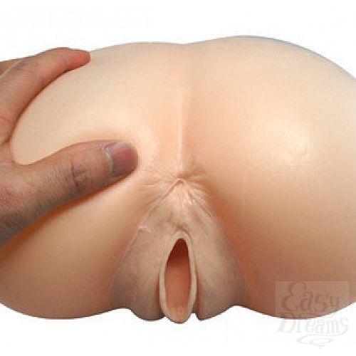 ���������� 4  NEW! ����������� Soloflesh PSD