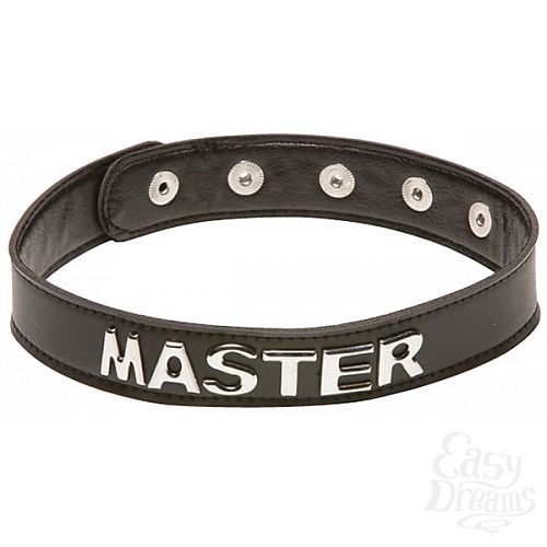 ���������� 1:  ������� X-Play Master Collar