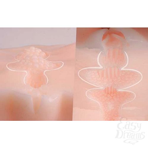 ���������� 3  ����������� Angel - ������ ��� ��������