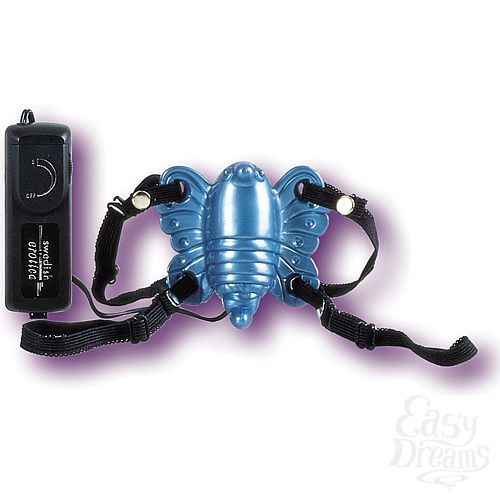  2   LOVER S AROUSAL 585-12 BX SE