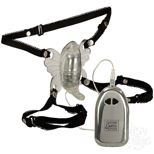  2     VENUS BUTTERFLY UKRN 0601-25 BX SE