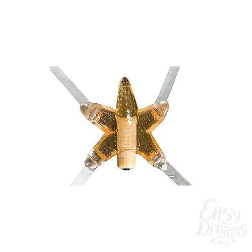 ���������� 2  ���������� ������� LI L STARFISH 617-02 BX DJ