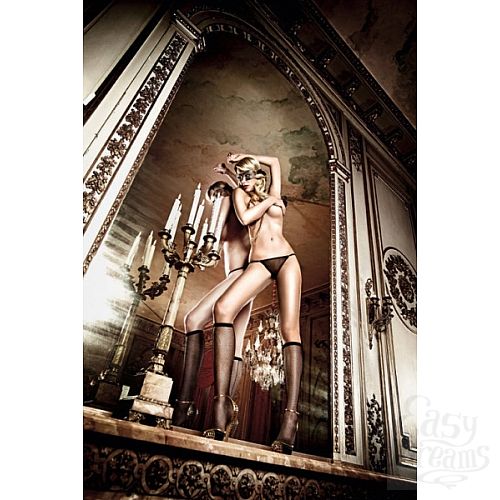 ���������� 1:  ������ ������ � ������ ������� � ������ ���� Have Fun Princess