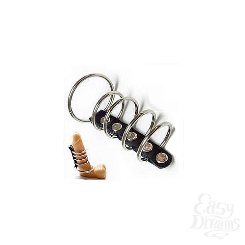 ���������� 1:  ����� � 5-� �������������� �������� 6503-01 EF