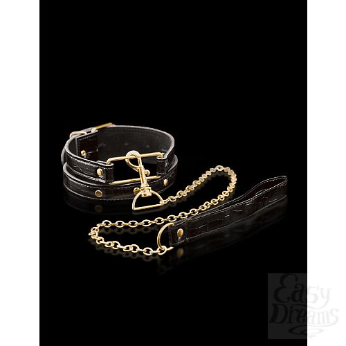  2   FF GOLD COLLAR & LEASH 397823PD