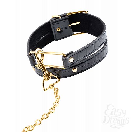  3   FF GOLD COLLAR & LEASH 397823PD