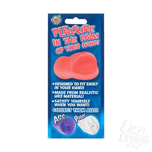 ���������� 2  �����-����������� PALM PAL ����