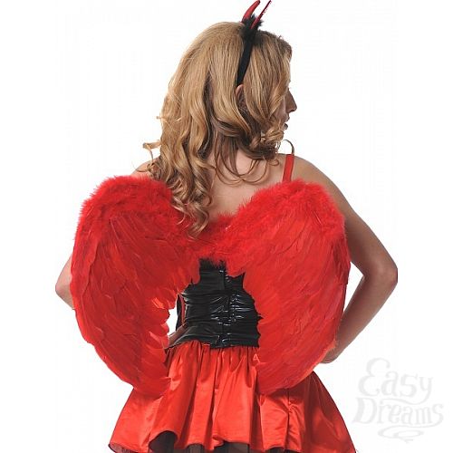 ���������� 1:  ������ �������� ������������ 60�50�� �������