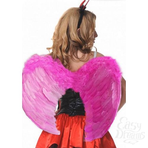 ���������� 1:  ������ �������� ������������ 60�50�� �������