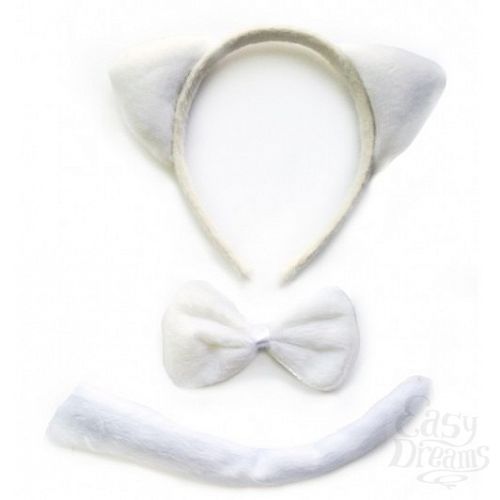 ���������� 1:  ����� ����� �����