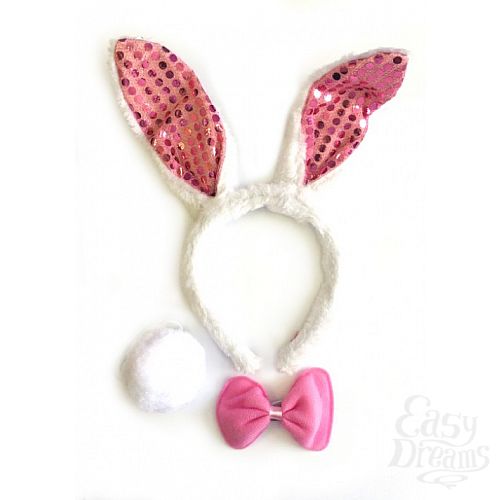 ���������� 1:  �������� ������� ��������� � �������� 02874OS