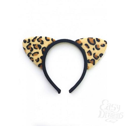 ���������� 1:  ���� ����� ����������� 02868OS