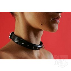 Ошейник узкий декоративный P284 Ошейник узкий декоративный P284