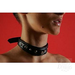 Ошейник фигурный (узкий) P286 Ошейник фигурный (узкий) P286